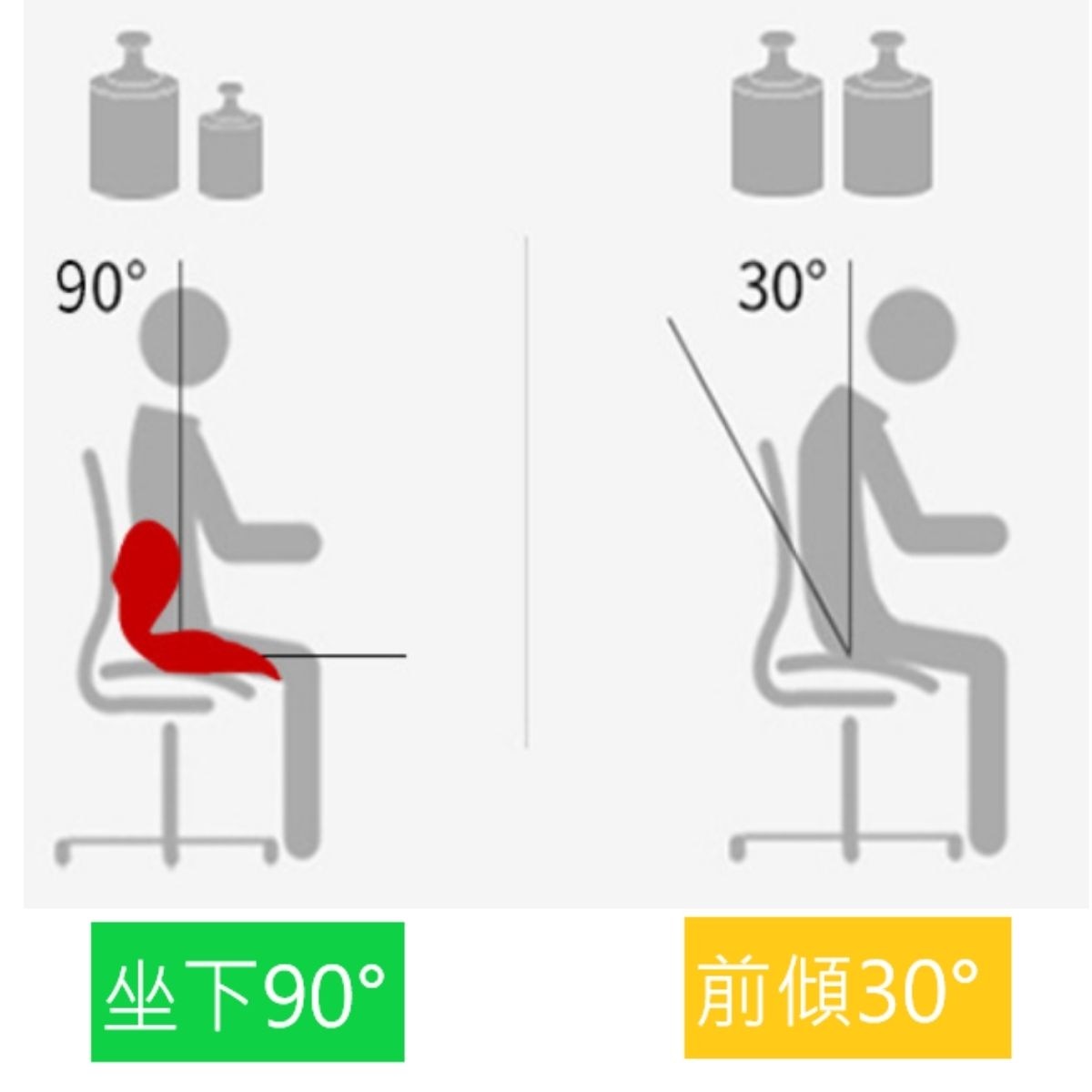 Meds Support Lumbar Support Seat Cushion